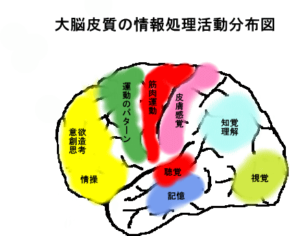 ��]�玿�̏�񏈗����z